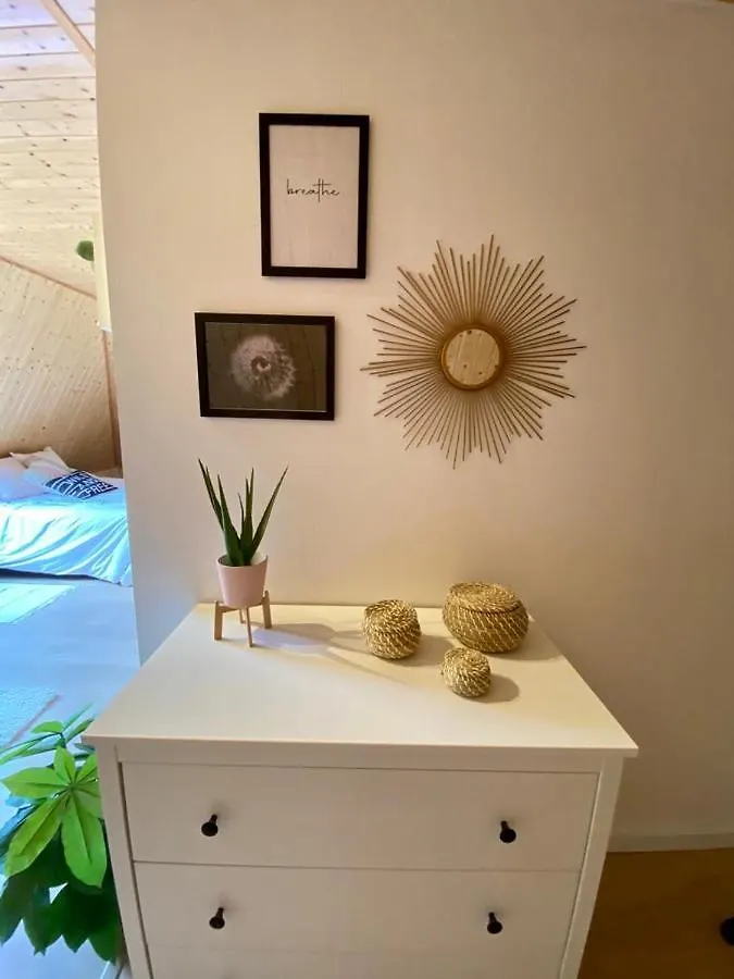Vila Gessa Bonita Casa Junto A Baqueira Dream Španělsko